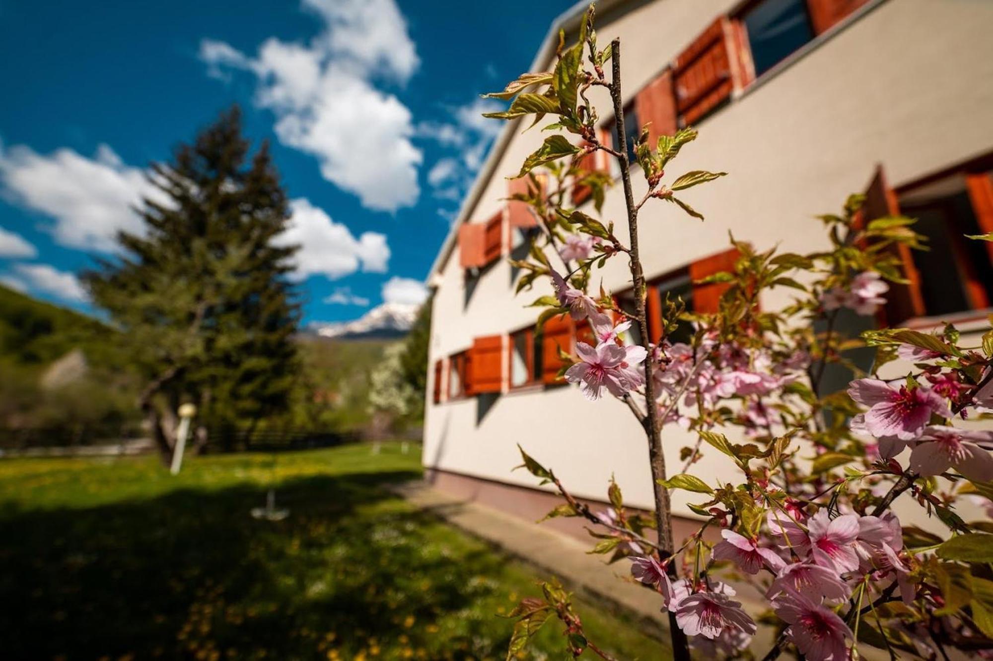 Hostel Mojan Andrijevica Exterior foto